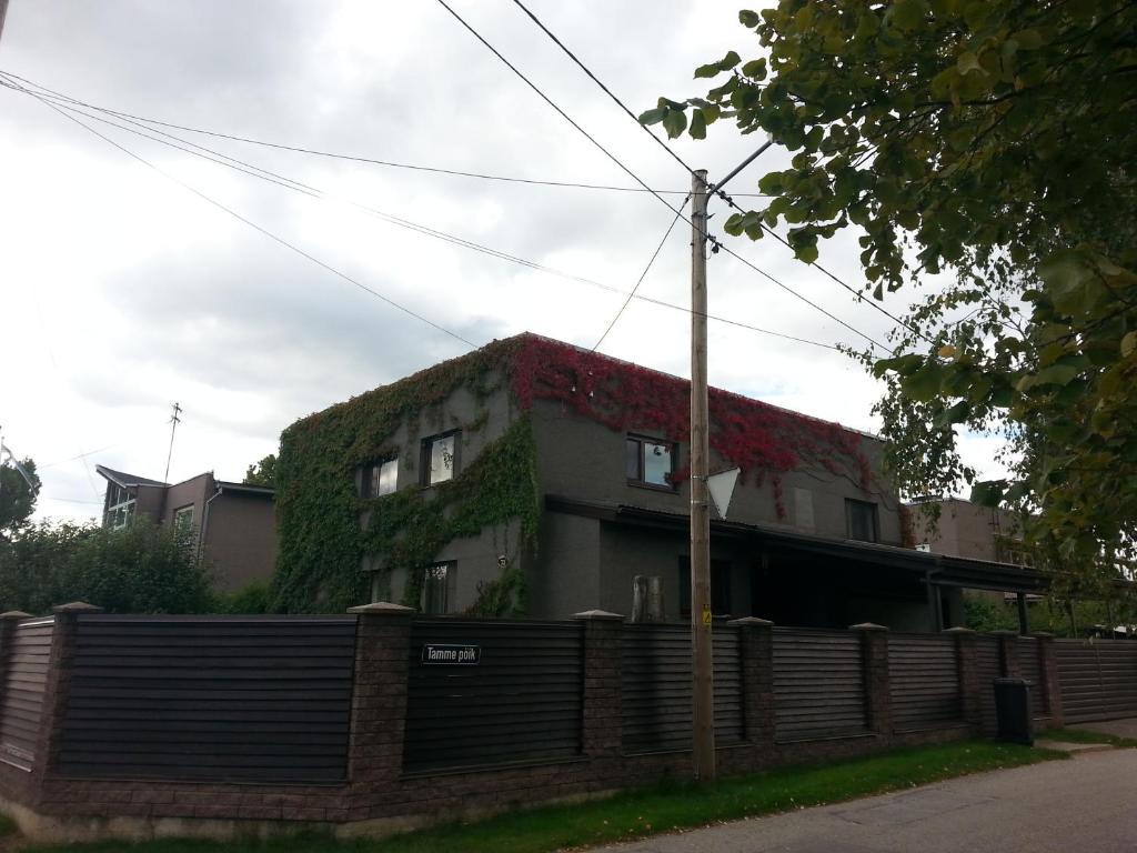 Eha Suija Home Accommodation Tartu Buitenkant foto